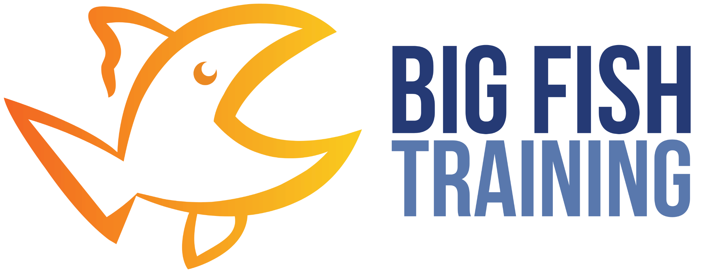 Big Fish Training logo, shows a bright orange and yellow outline of a fish on the left, then the words 'BIG FISH' on 1 line in dark blue capital letters, then the word 'TRAINING' on the line below in light blue