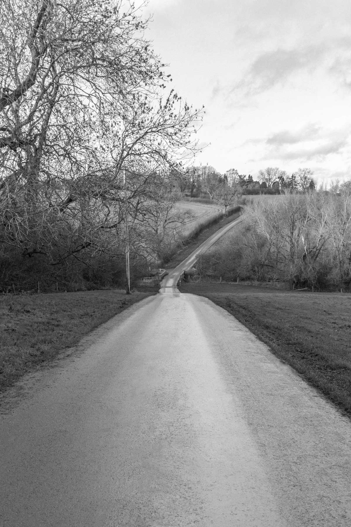 Photograph of a steep country lane with road going through the middle then rising into the distance. Greyscale photo with lovely depth and dark rich blacks