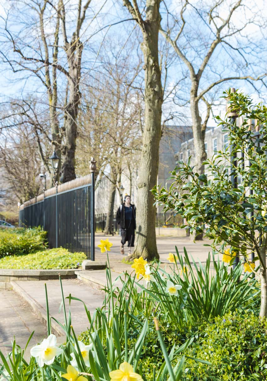 Shows a side-on photograph of half-way up New Walk, black railings down the left, a daffodil bed at the front, then woman walking with her hands in pocket and earphones on, enjoying the bright sun
