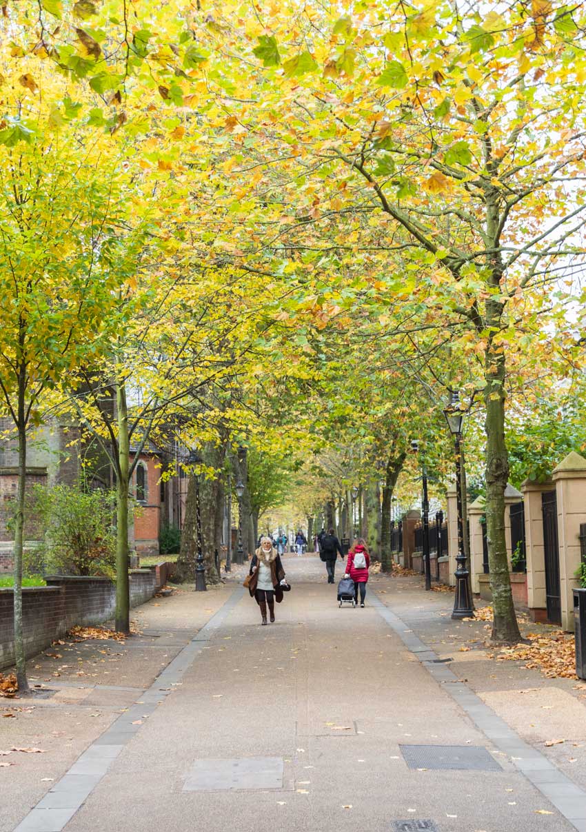 Straight shot of New Walk, lovely yellow, green and orange leaves in the trees above, then a woman walking down and a woman walking up to the right. Trees on the left and right