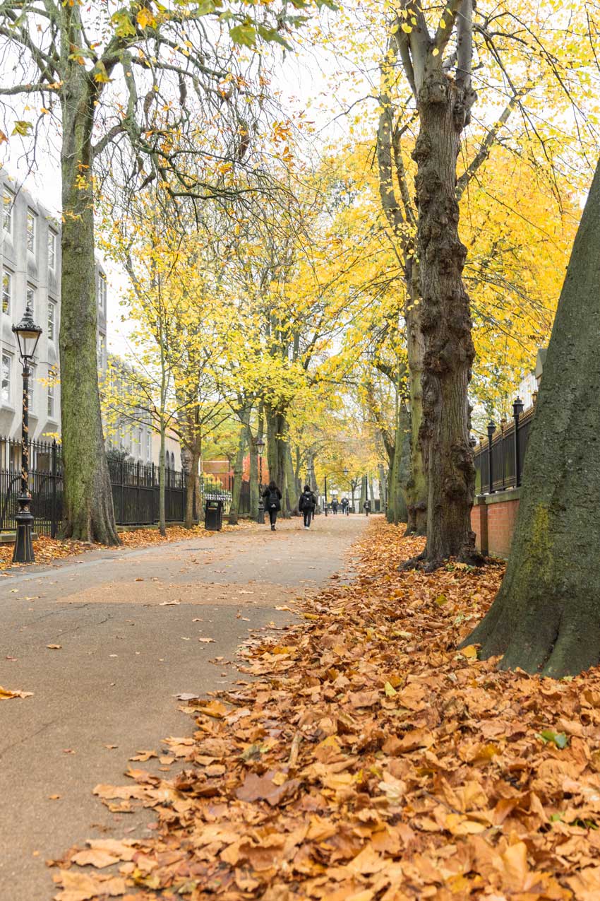 Ground to sky photo of New Walk looking all the way up, with autumn orange leaves on the ground running up the right hand-side. Trees on the left and right with 2 people walking at the top. Building on the left