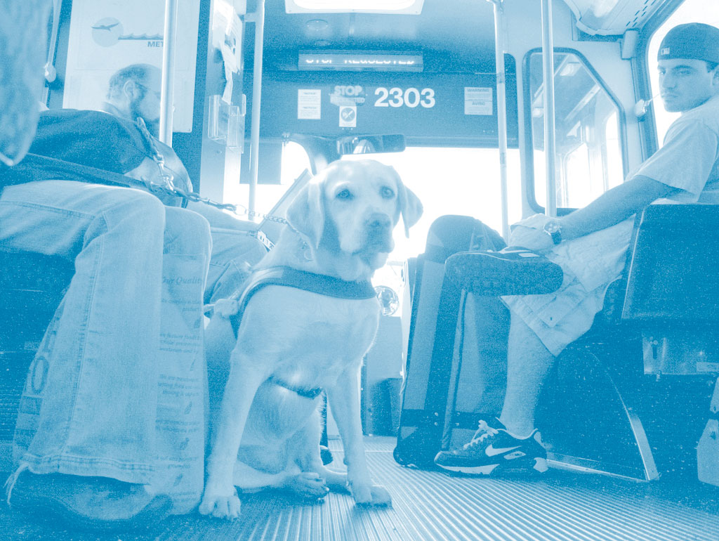 A guide dog for the blind sitting in the middle of an American bus isle. The owner is on the left with a strap from hand to dog. A young person sits on the right looking at the dog